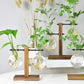 Terrarium Planter Bulb Glass Vase Water Planting Propagation Stations Hydroponics Plants With Wooden Stand Garden Wedding Decor